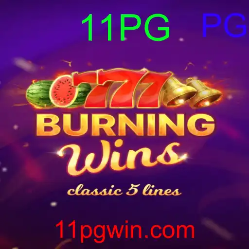 BurningWins